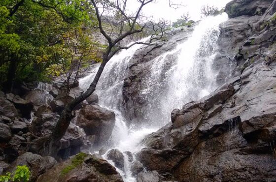 Maharashtra(महाराष्ट्र), India